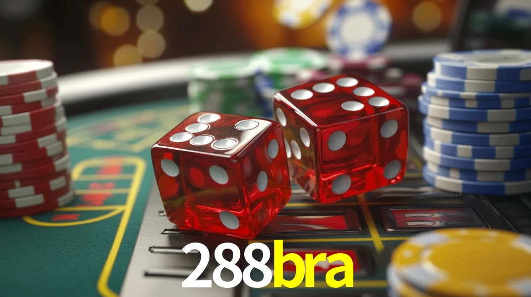 288bra App Interface